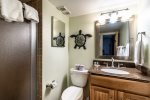 guest bathroom, vanity sink and mirror, shower, toilet
